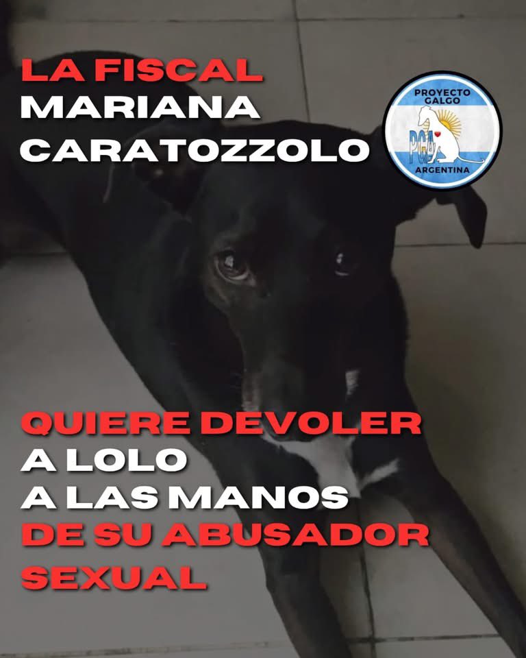 mavica tweet media