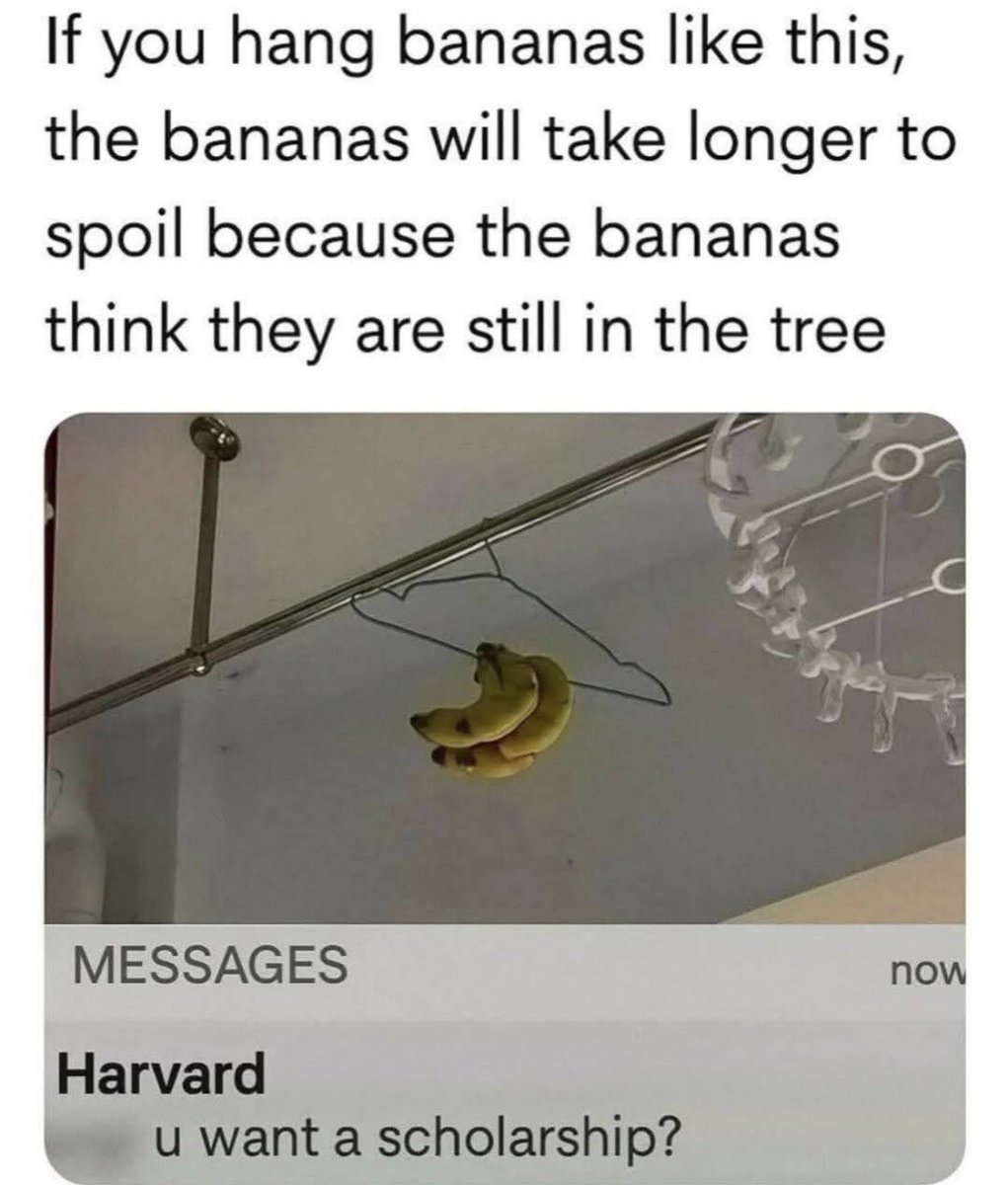 Respectful Memes tweet media
