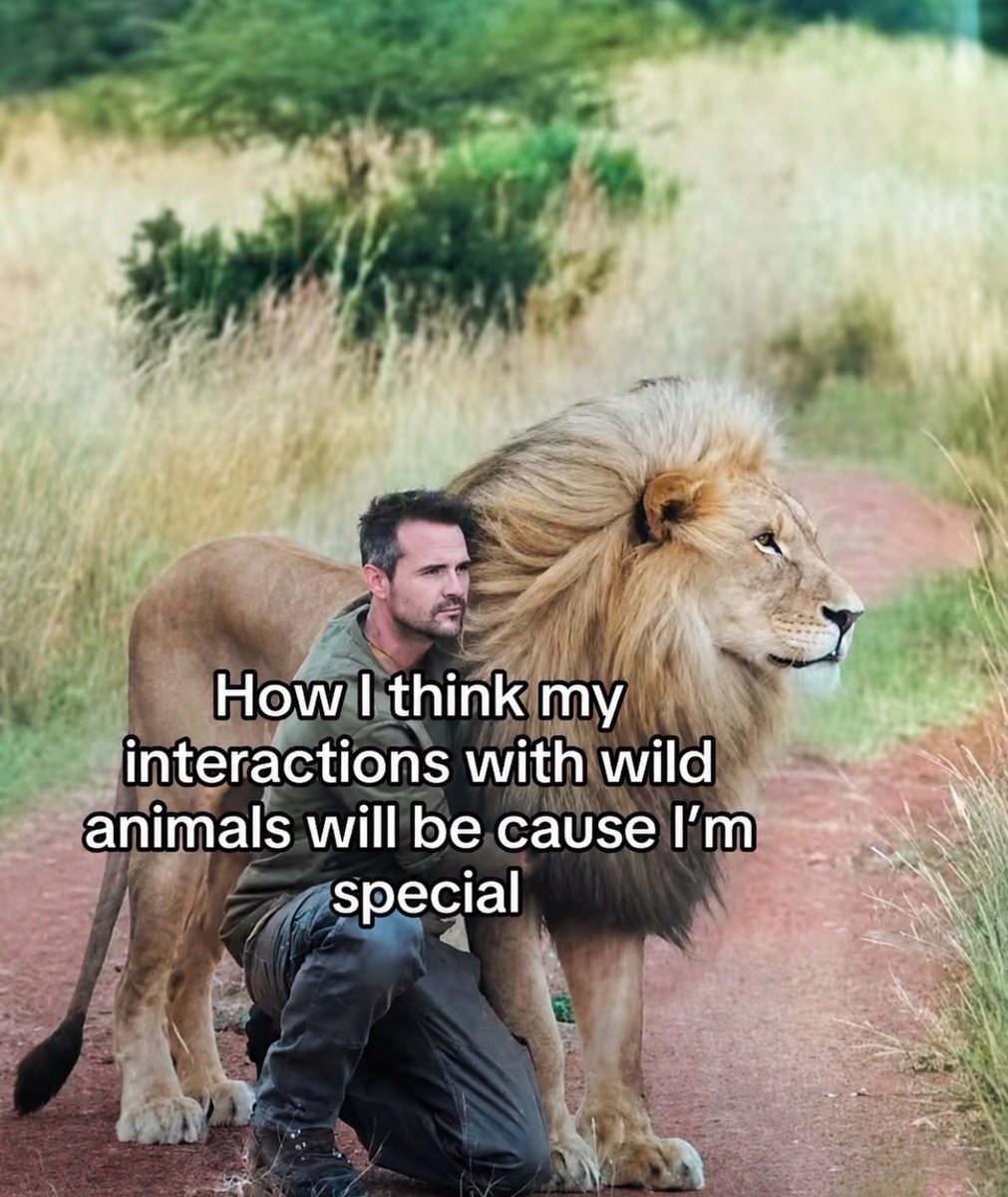 Respectful Memes tweet media