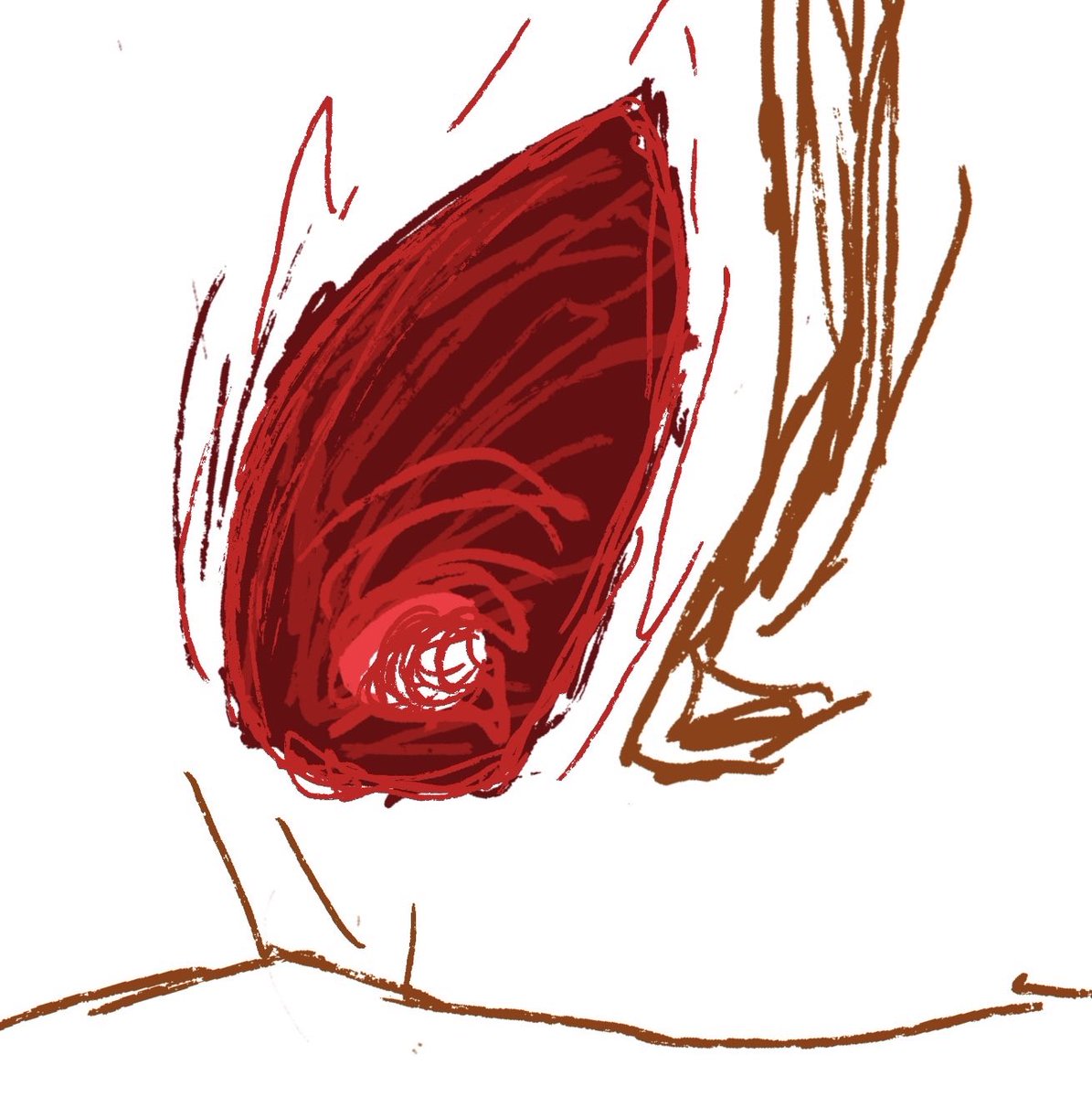 Jaybird ! tweet media