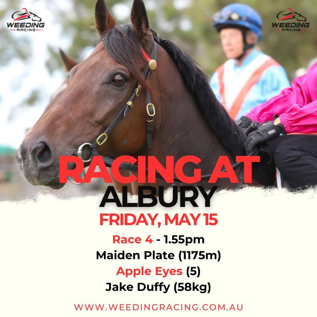 craigweeding's tweet photo. Apple Eyes gets her chance at Albury today. https://t.co/MezgRBntyK