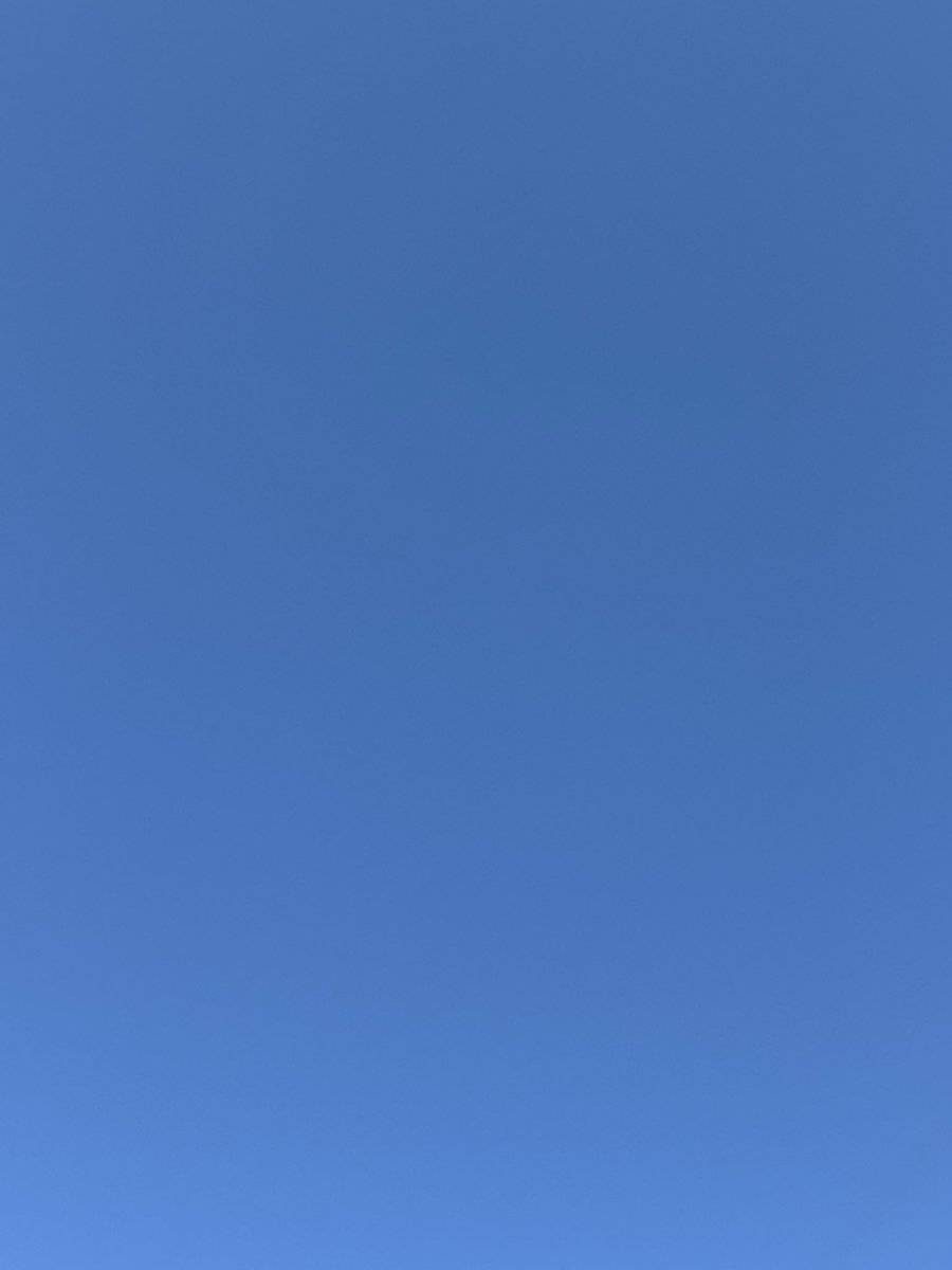 ｱﾙﾝﾁｬﾝ tweet media