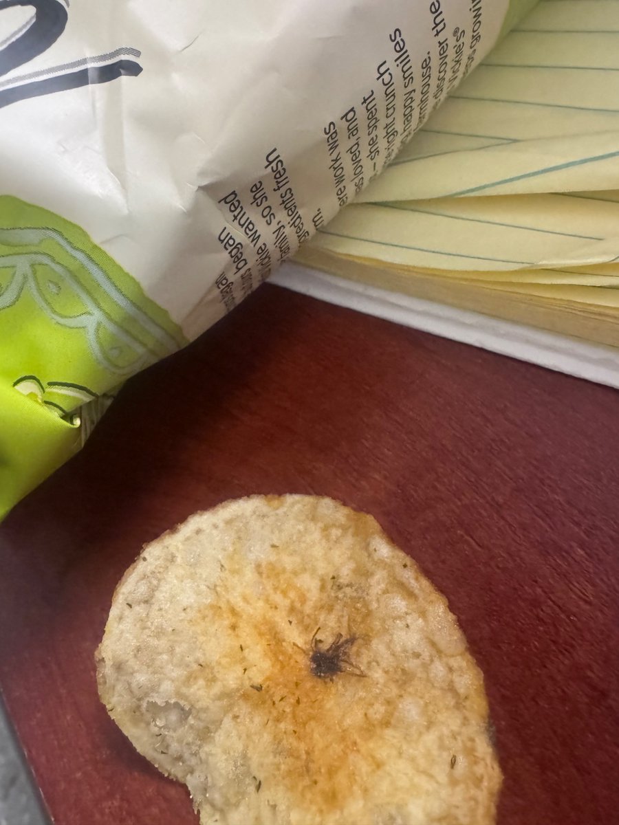SdotPress86's tweet photo. How unfortunate that I’m eating my favorite @missvickiesus spicy dill pickle chips and find a dead spider baked into one of the chips. Talk about disgusting 🤢 https://t.co/xJMoUwMhRZ