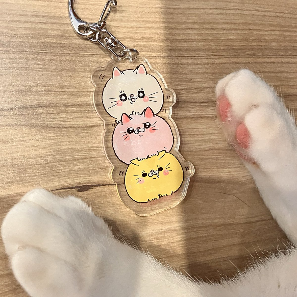 キハラニク・ユウコ (*ΦωΦ*)こねこねポイポイ・キハラーキャットでガチャなりたいねんて tweet media