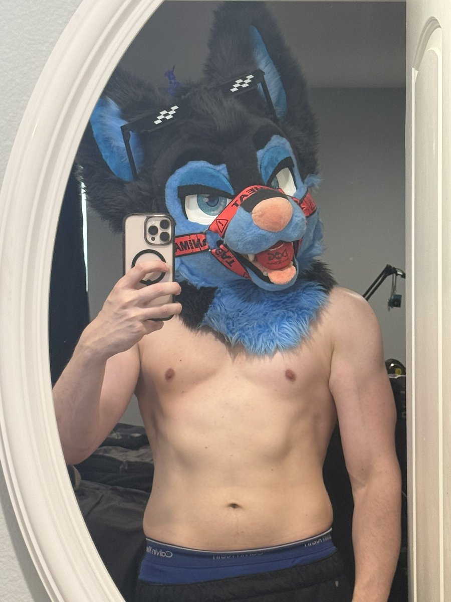 Skye The Husky 🔜 MEGAPLEX tweet media