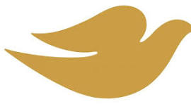 NBยฒ ๐ณ๏ธโโง๏ธ๐ณ๏ธโ๐ tweet media