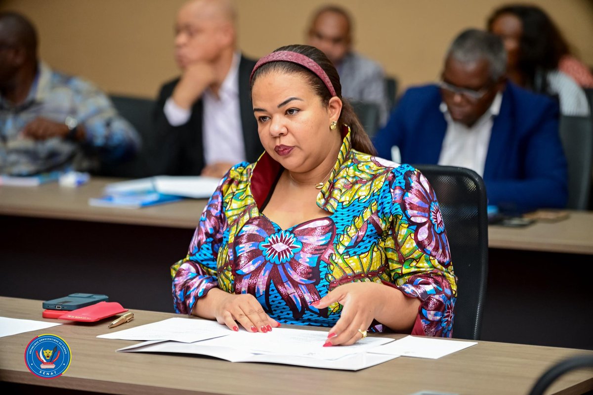 Sénat RDC🇨🇩 tweet media