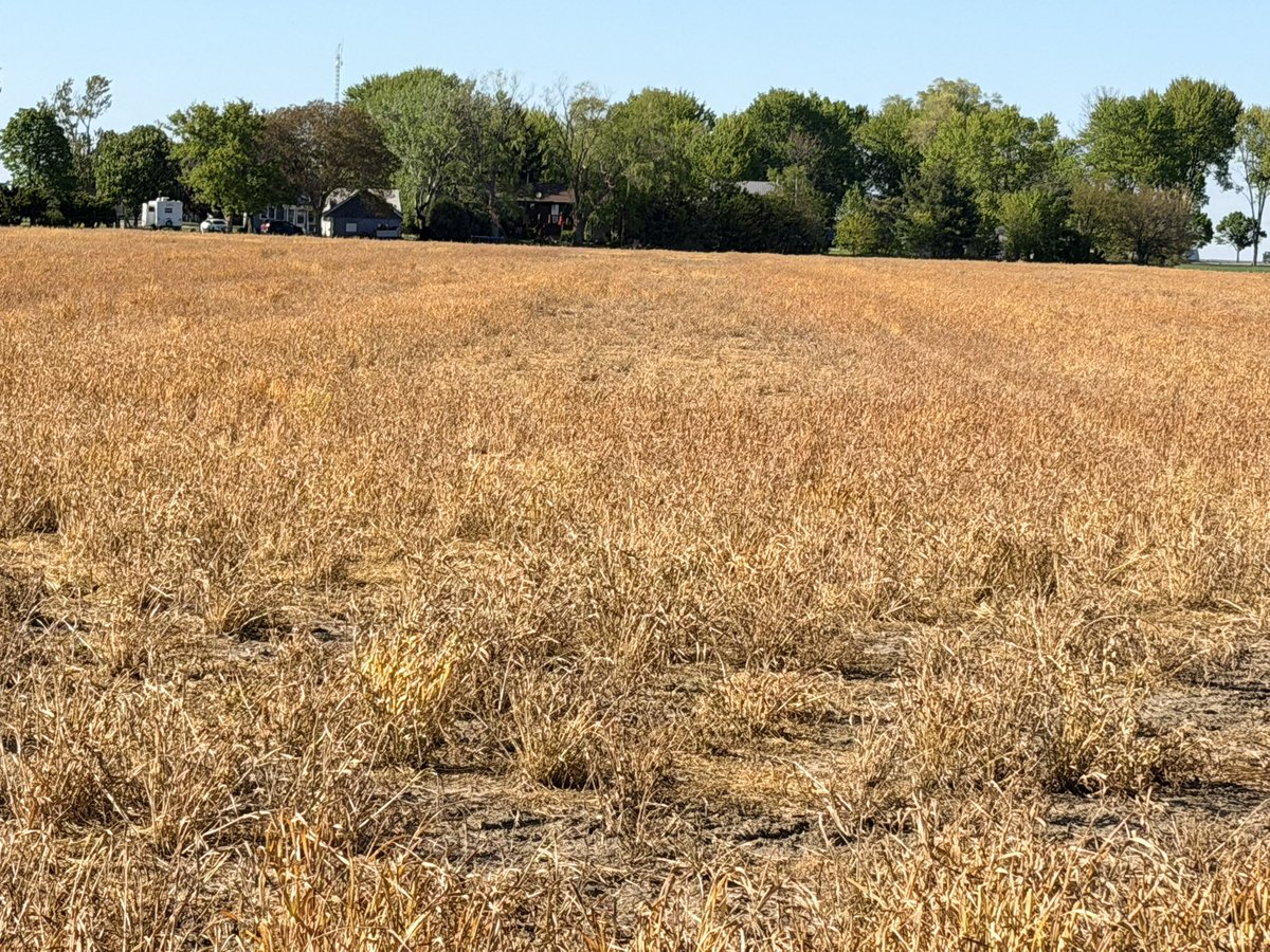 Fermes Chauvin Farms Ltd.🇨🇦 tweet media