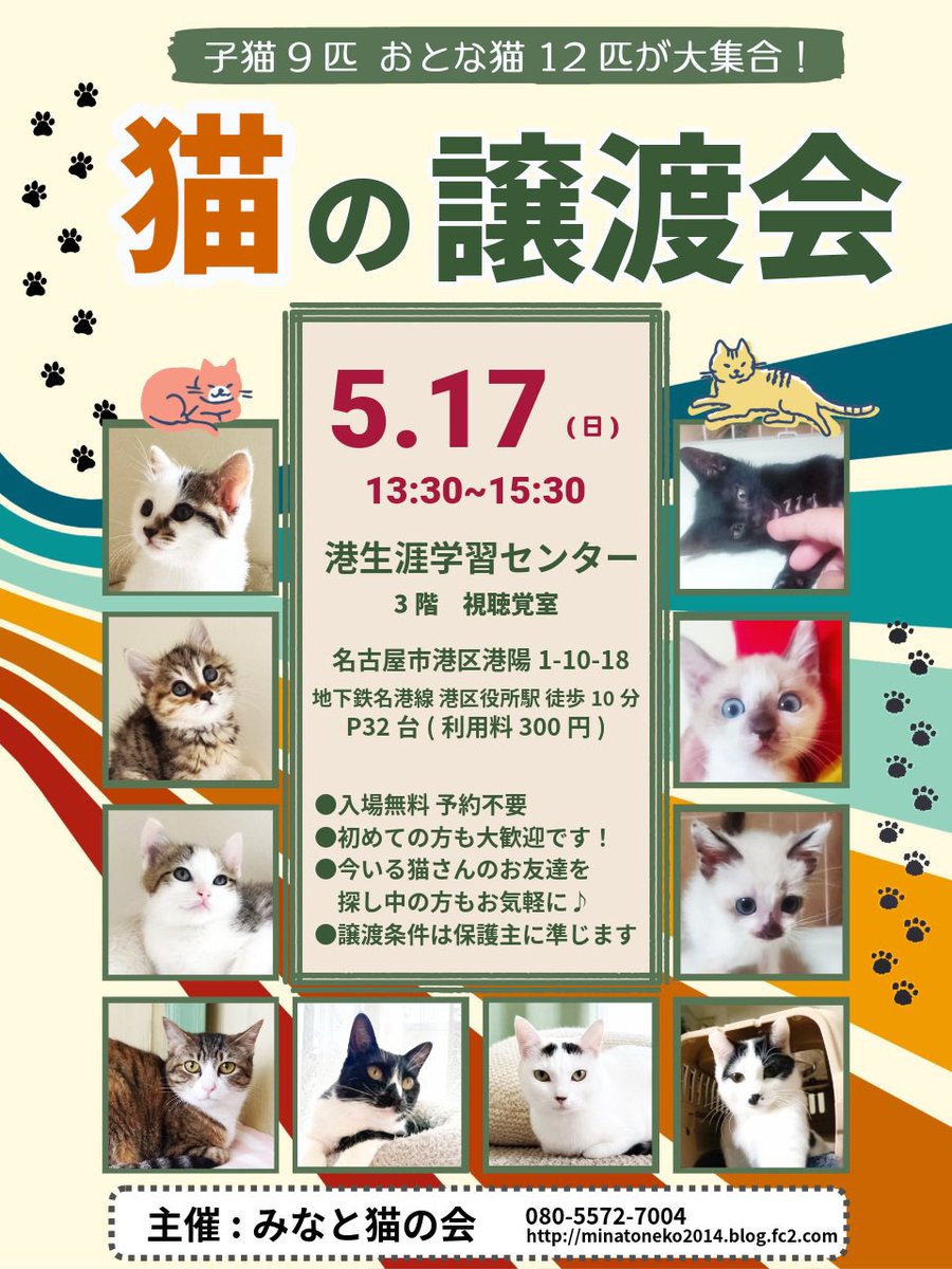 みなと猫の会 tweet media
