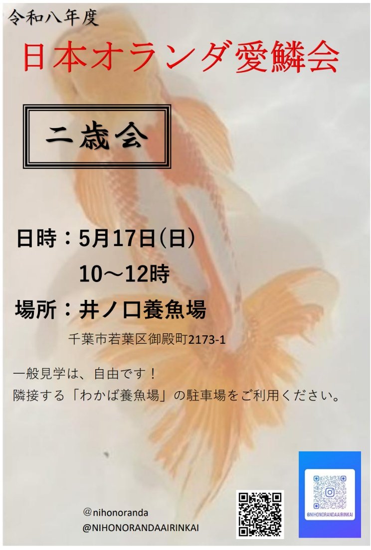 日本オランダ愛鱗会 tweet media