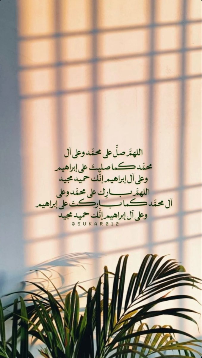 عِ 🌸✨ tweet media