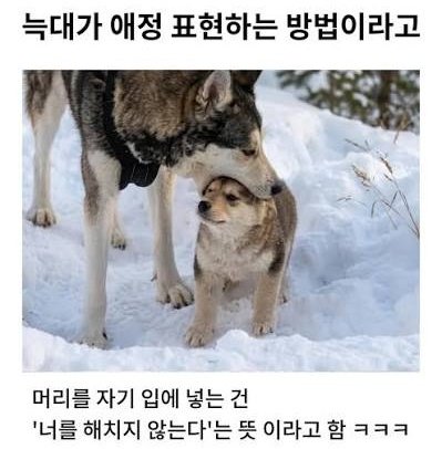 백 tweet media