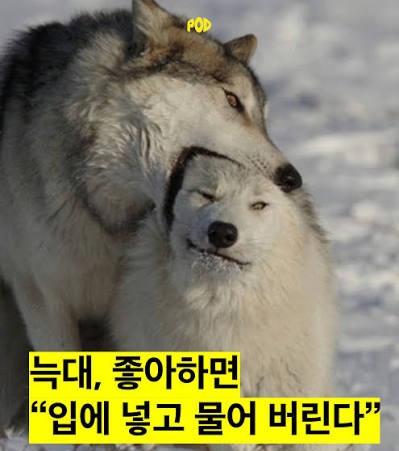 백 tweet media