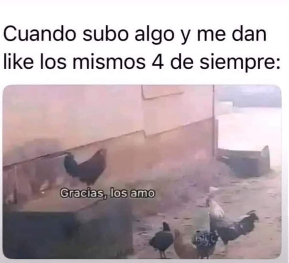 El CondeNado tweet media