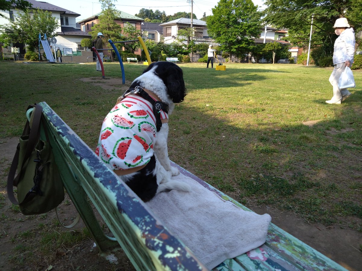 エル子🐶 tweet media