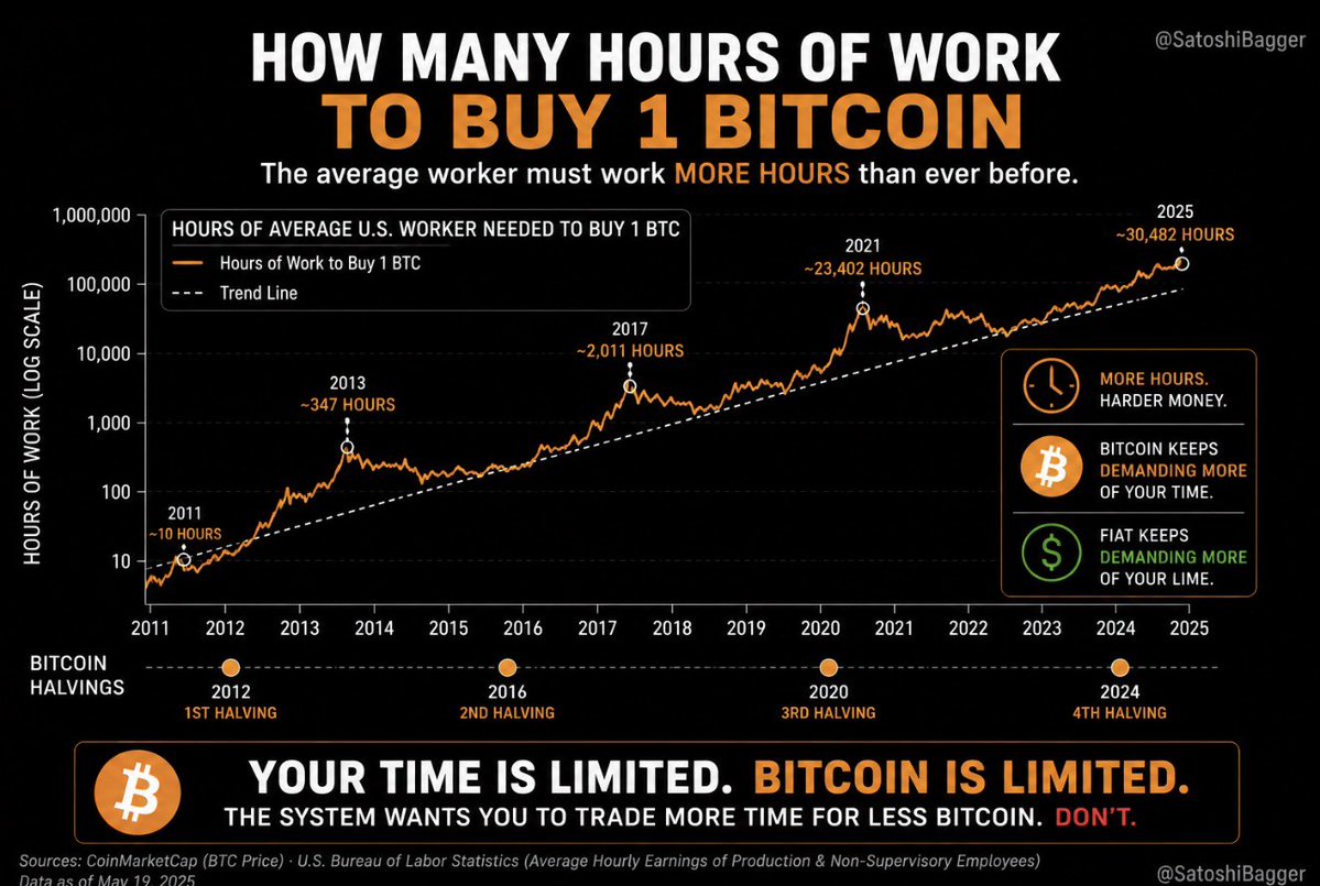 Satoshi Bagger tweet media