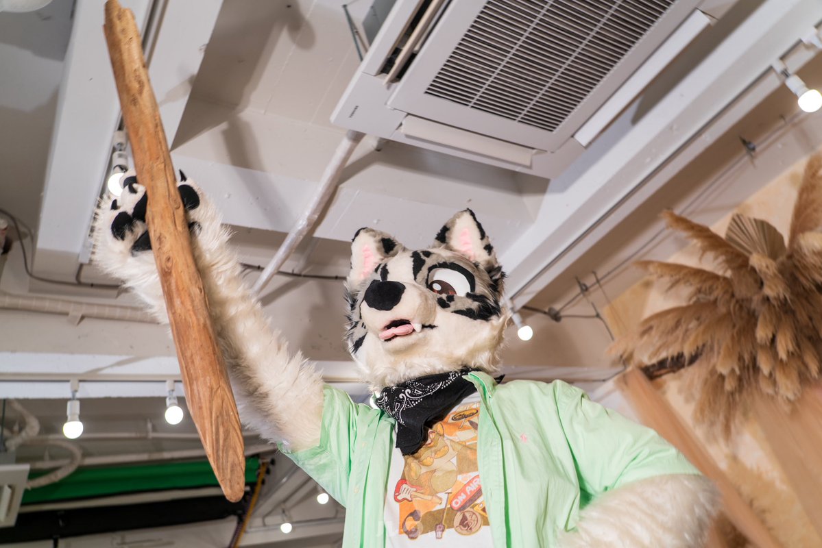 イヌも歩けば棒を見つける🔍 #犬犬写真館 #FursuitFriday