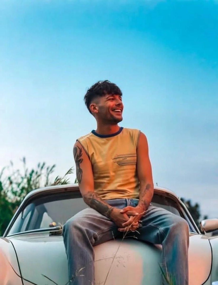Louis Stan Brasil tweet media