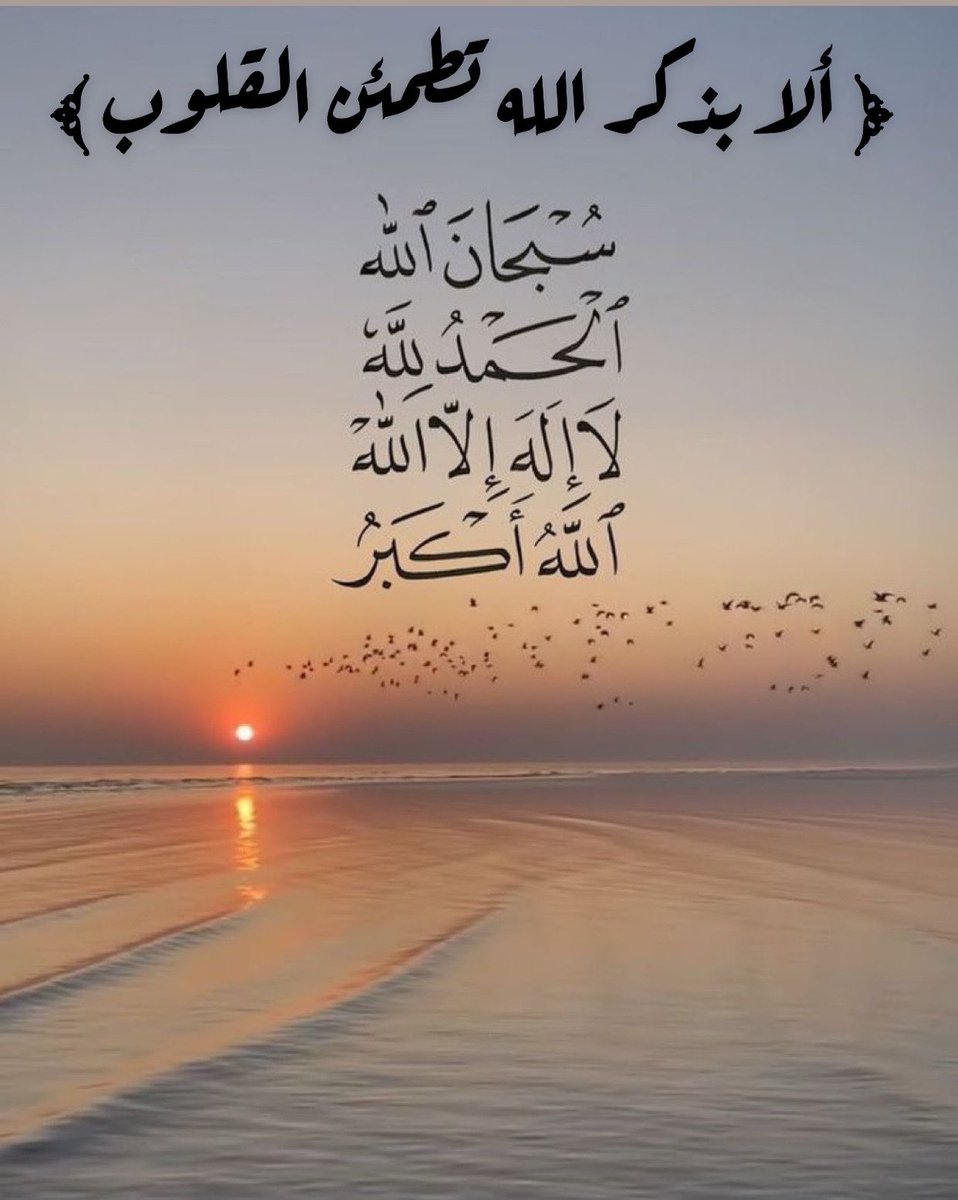 مَـيَـــار ᥫ᭡⑅. tweet media