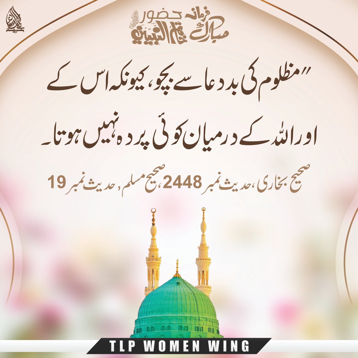 TLP WOMEN'S WING tweet media