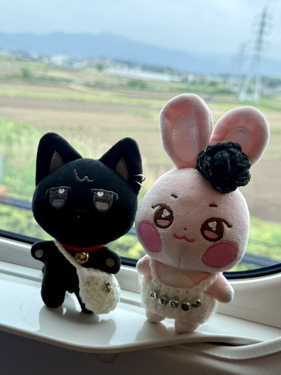 ☺︎cocoyoung🐈‍⬛🏴‍☠️ tweet media