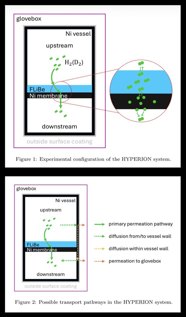 MagnetizedPlasma tweet media