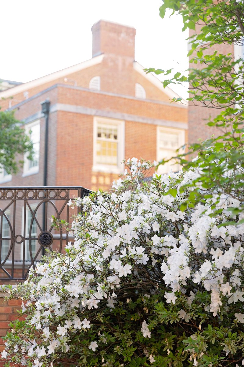 Samford University tweet media