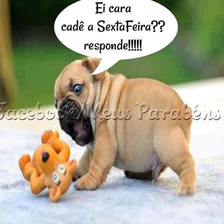 microbia vapo da silva tweet media