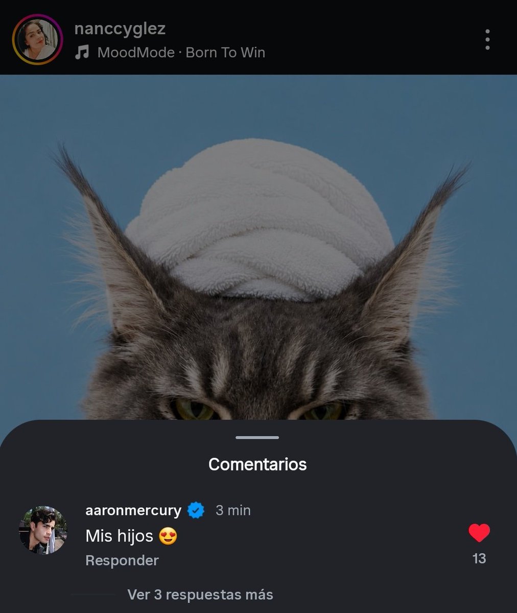 amrcury's tweet photo. Aarón un papá gatuno presente y bien amoroso con sus hijitos gatunos 😻🫶🏻 https://t.co/d4Qx14Nh0H