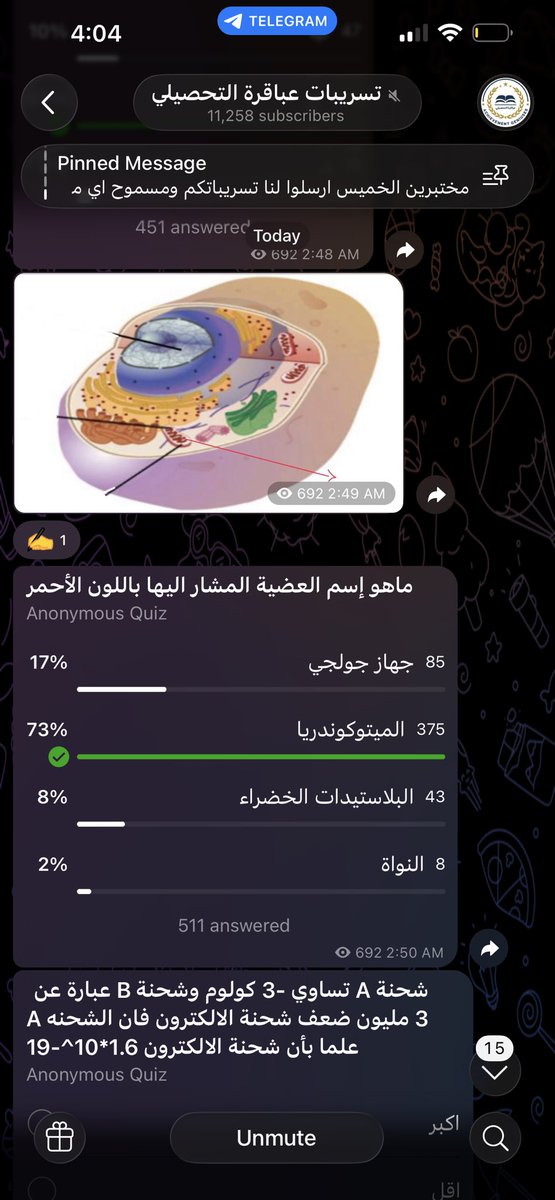D7 tweet media