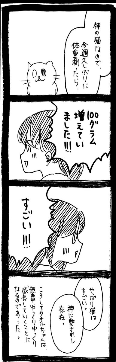 うさぎのみみちゃん😇デザフェス両日西1階B-10 (@usagitoseino