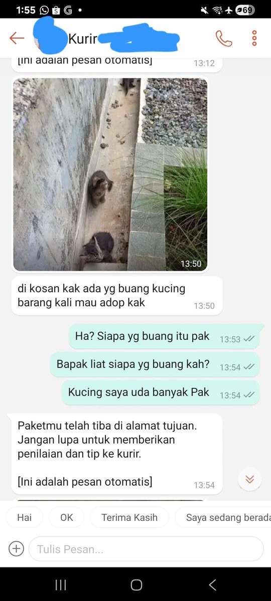 citra tweet media