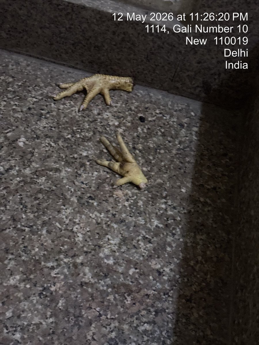 Sonnali Sharmaa tweet media