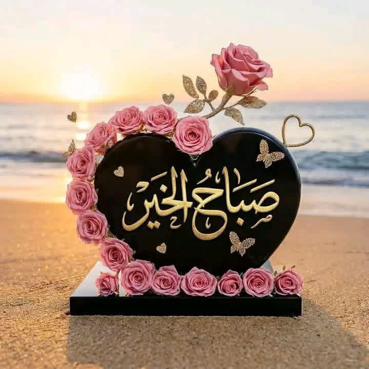 نور الهدى tweet media