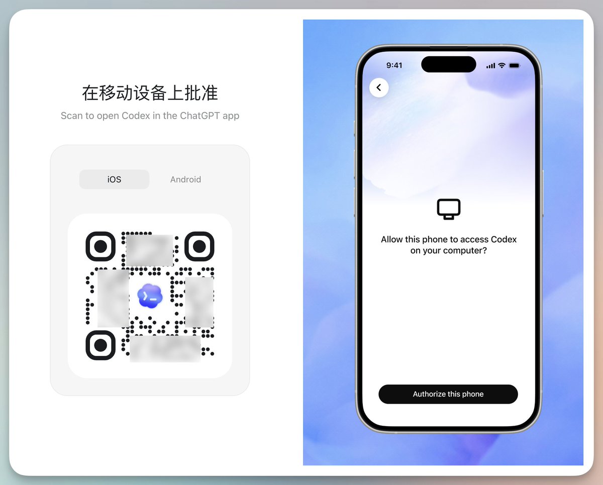 向阳乔木 tweet media