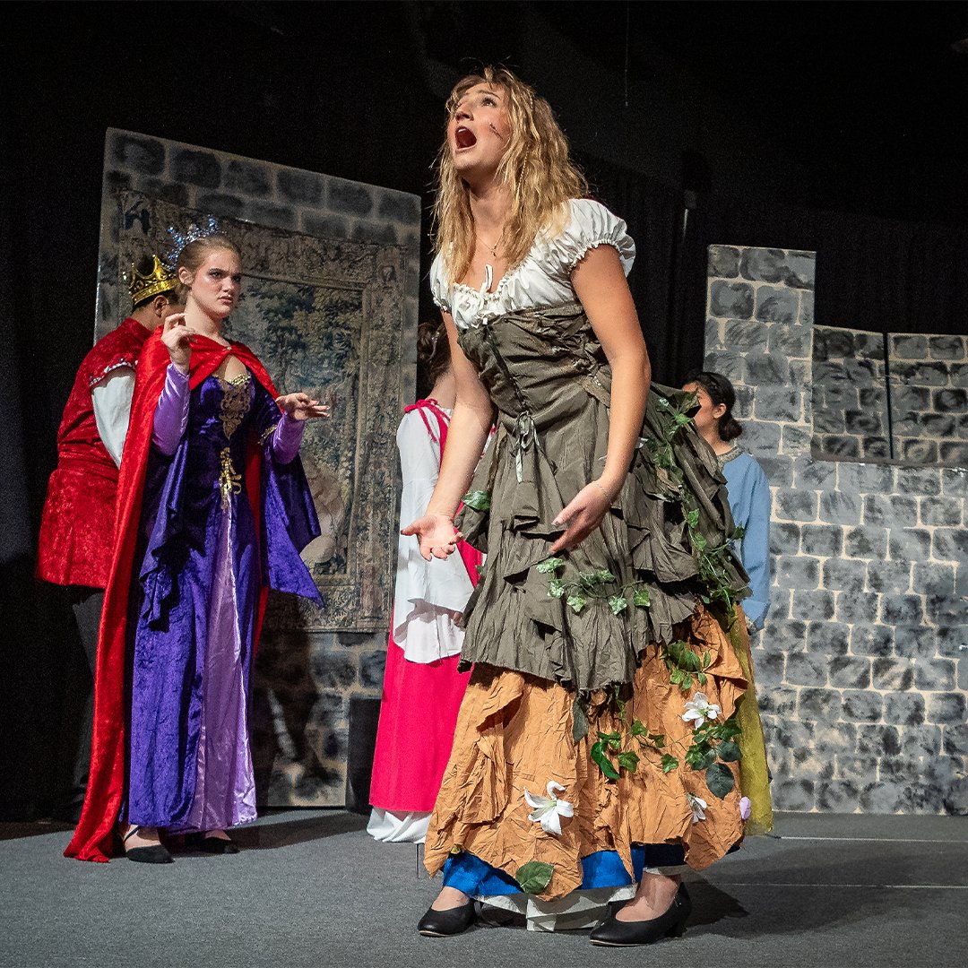 TrinityCCA's tweet photo. 👑 What a weekend for Trinity Theatre!

Our students brought Once Upon a Mattress to life with humor, heart, energy, and unforgettable moments 🎭 https://t.co/iNxQ4qqpWh