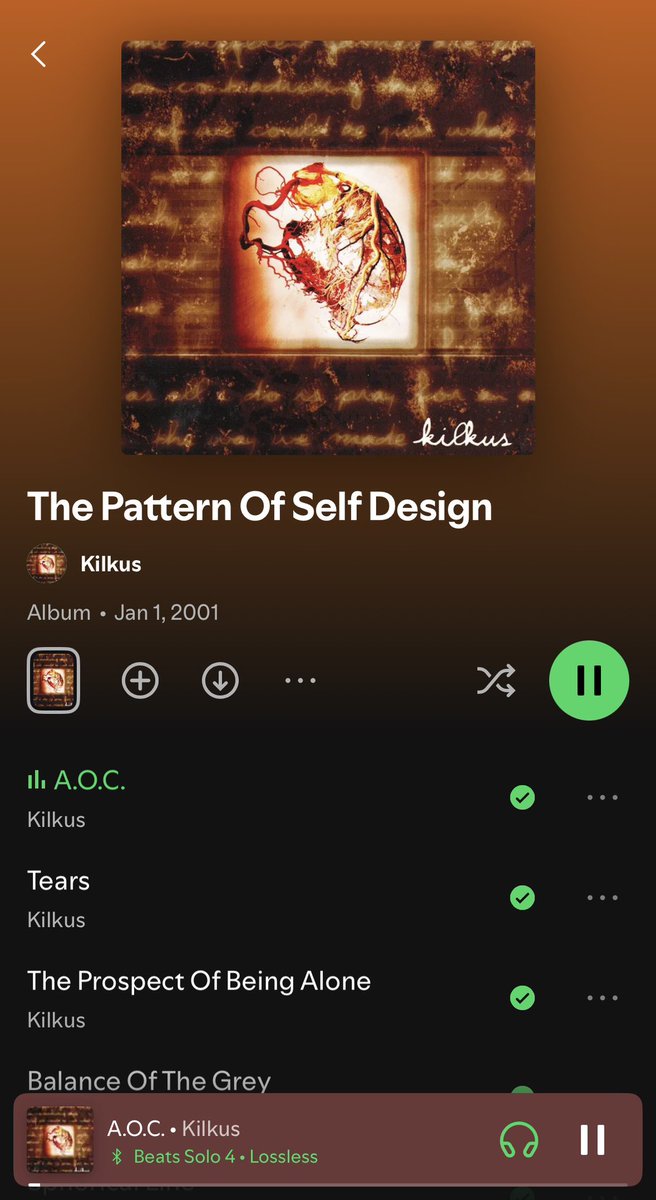 kilkus the pattern of self design レコード Now listening to Kilkus: The Pattern Of Self Design