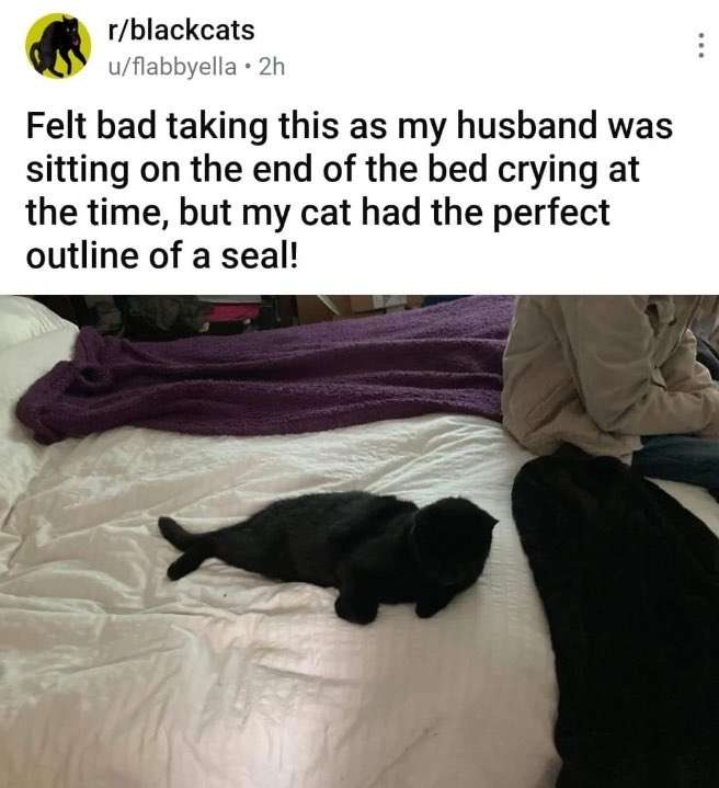 Reddit But Funny tweet media