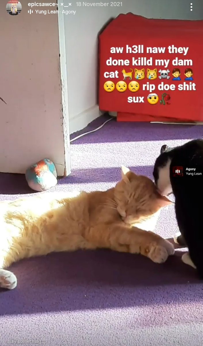 Mr EatItThruTheJeans tweet media