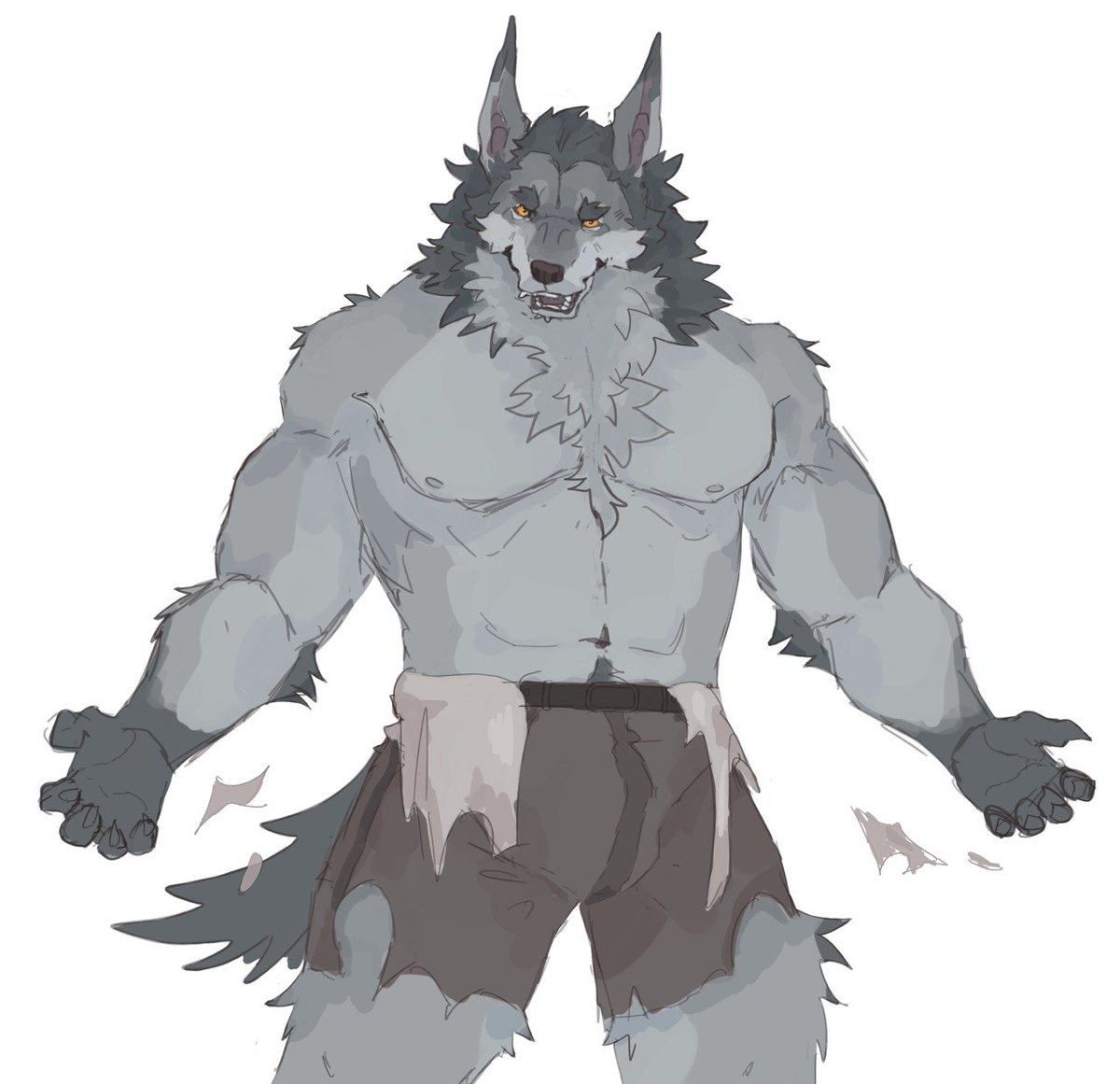🐺 Var tweet media