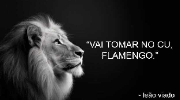 Felipe o Little Rossi tweet media