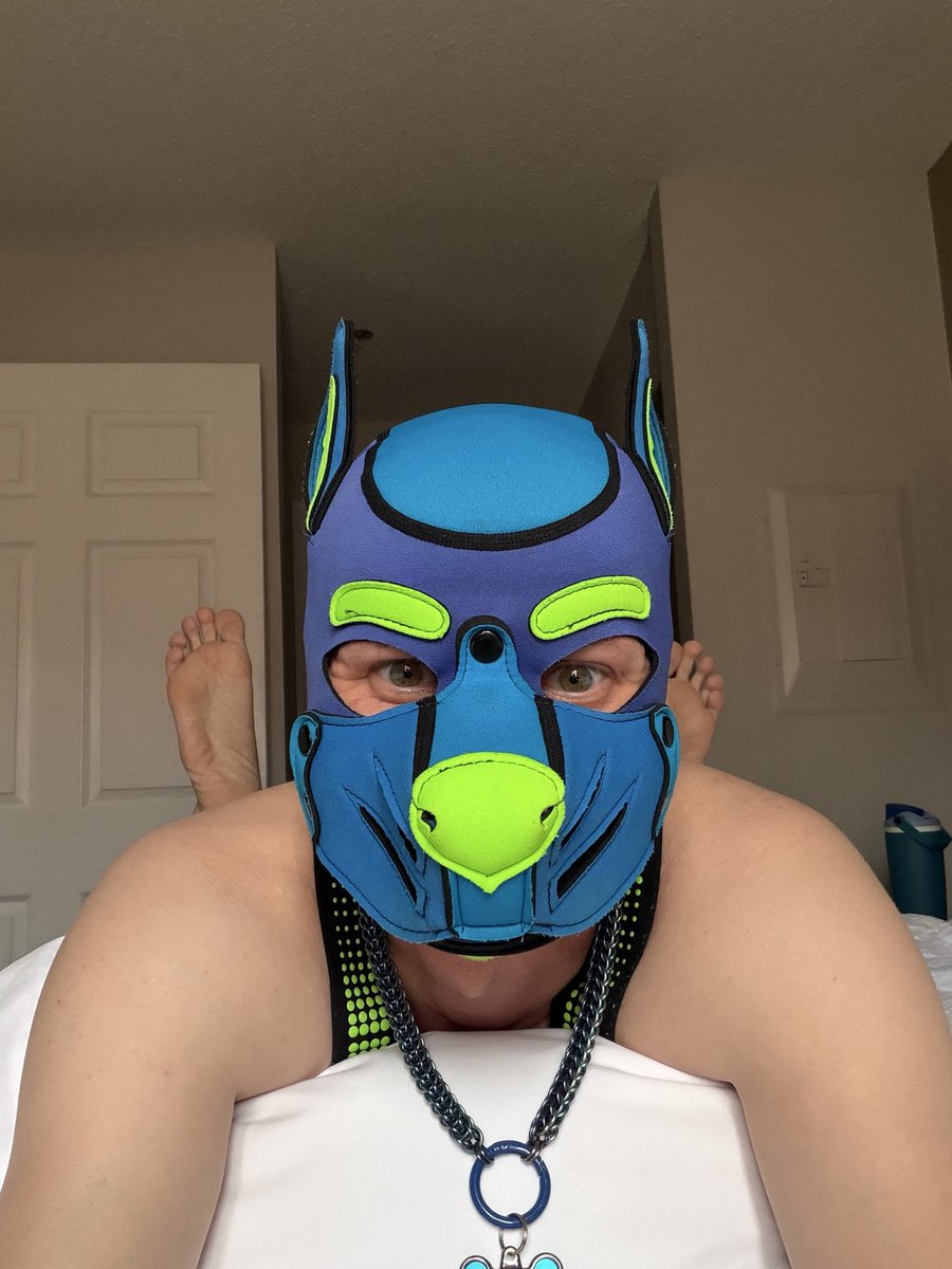 Beta Pup Pyro tweet media