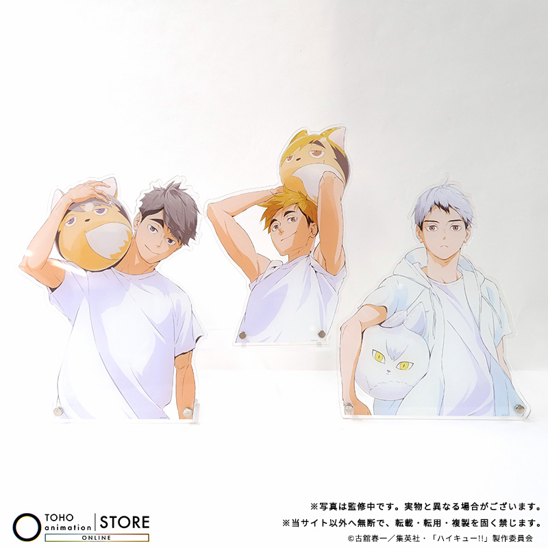 ハイキュー!!】 ＼TaS限定／ ビーチボールビジュアルの「ダイカット