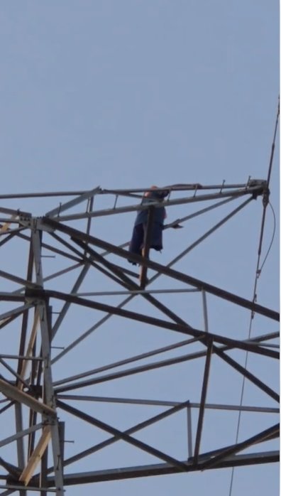 abs news tweet media