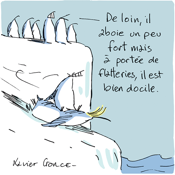 Xavier Gorce tweet media