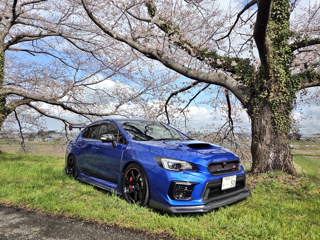 D・K (WRX VAB) tweet media