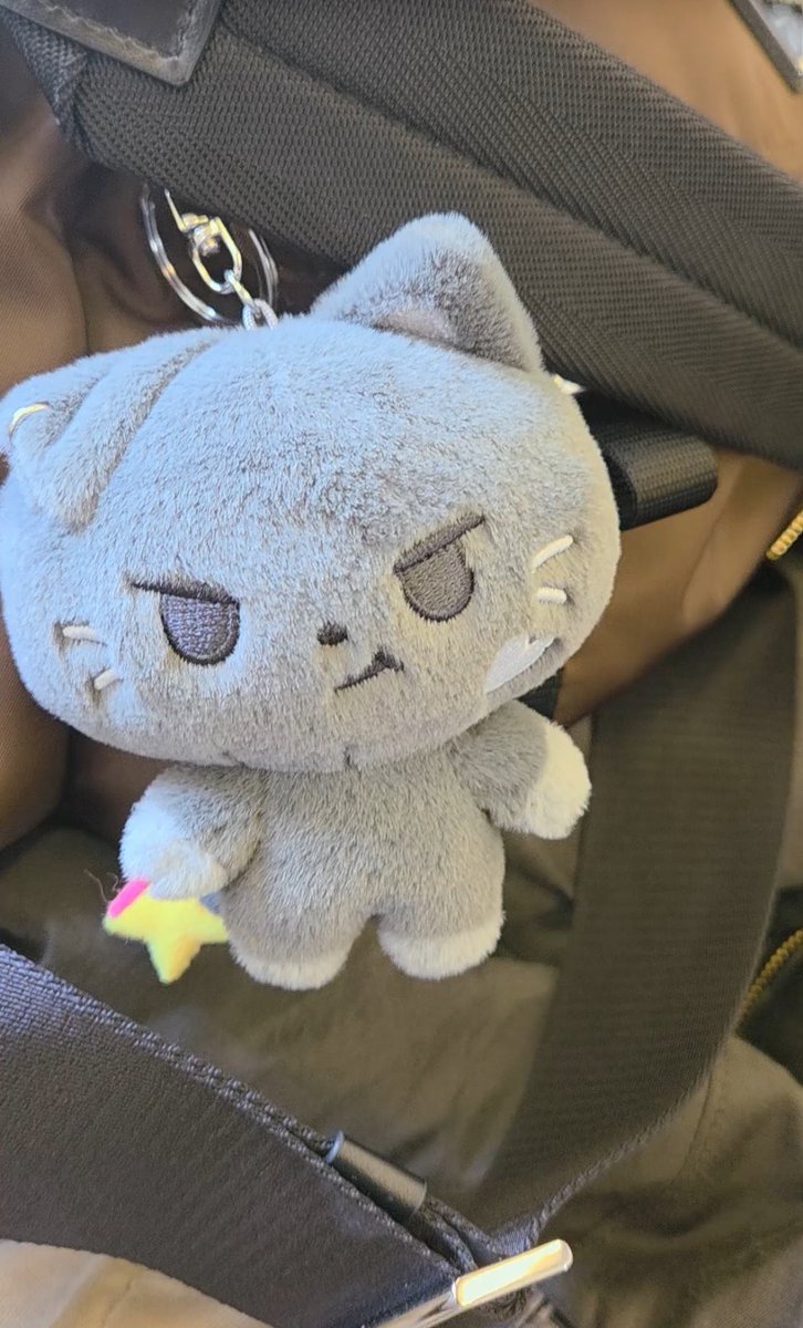 LUCKY enji 𐙚 tweet media