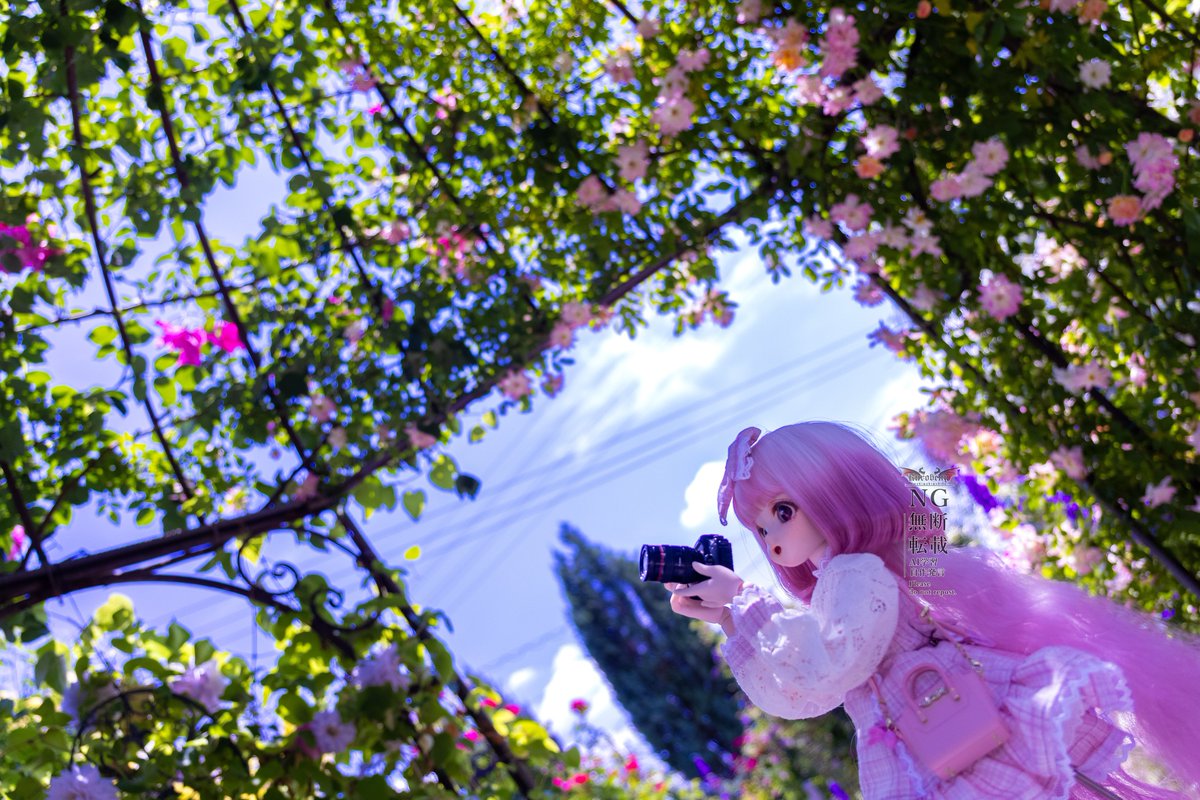 まきば@5/16DOF tweet media