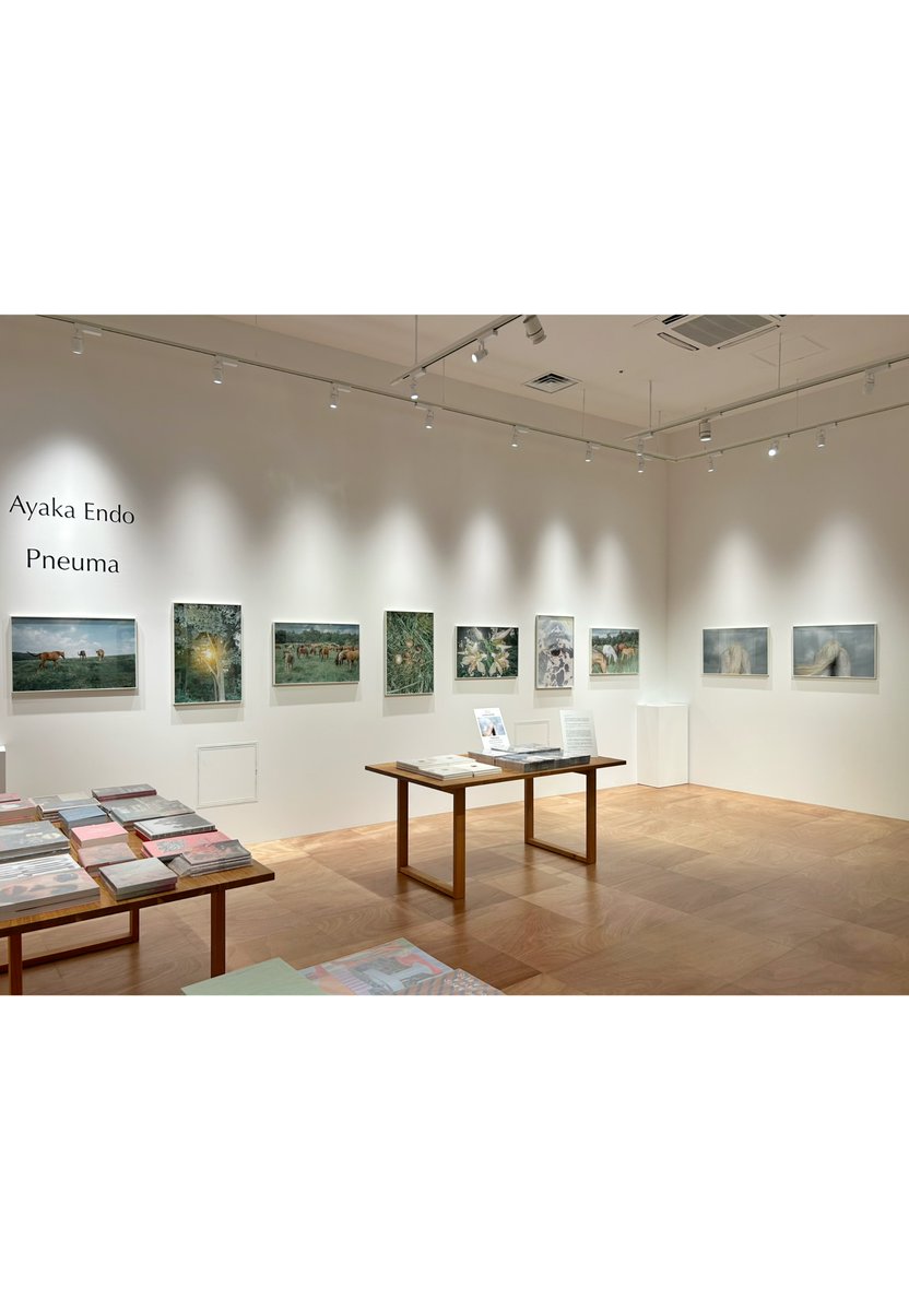 NONLECTURE books/arts tweet media
