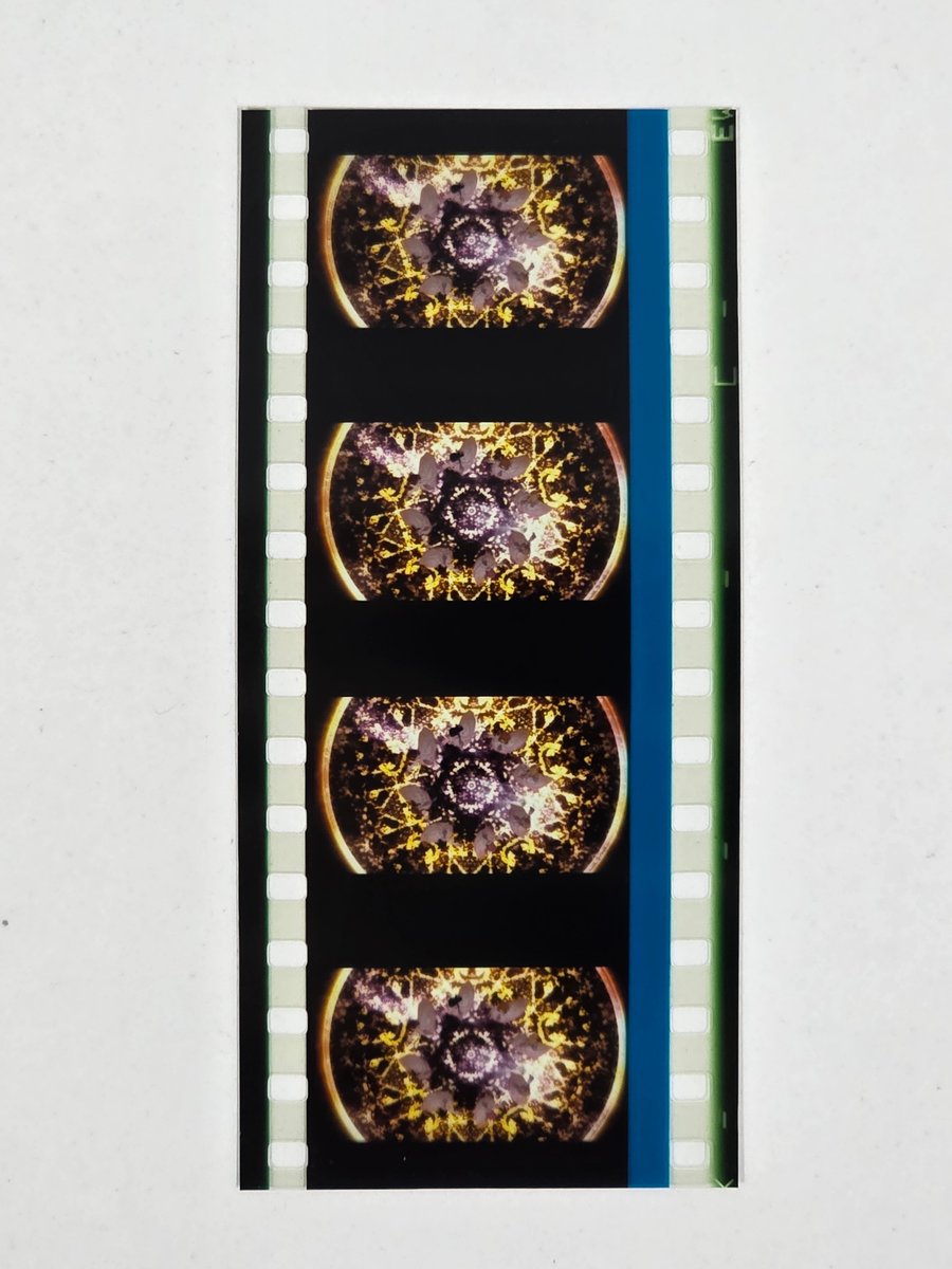 コマフィルムは光の中で花咲いてのシーンかな？ #映画蓮ノ空